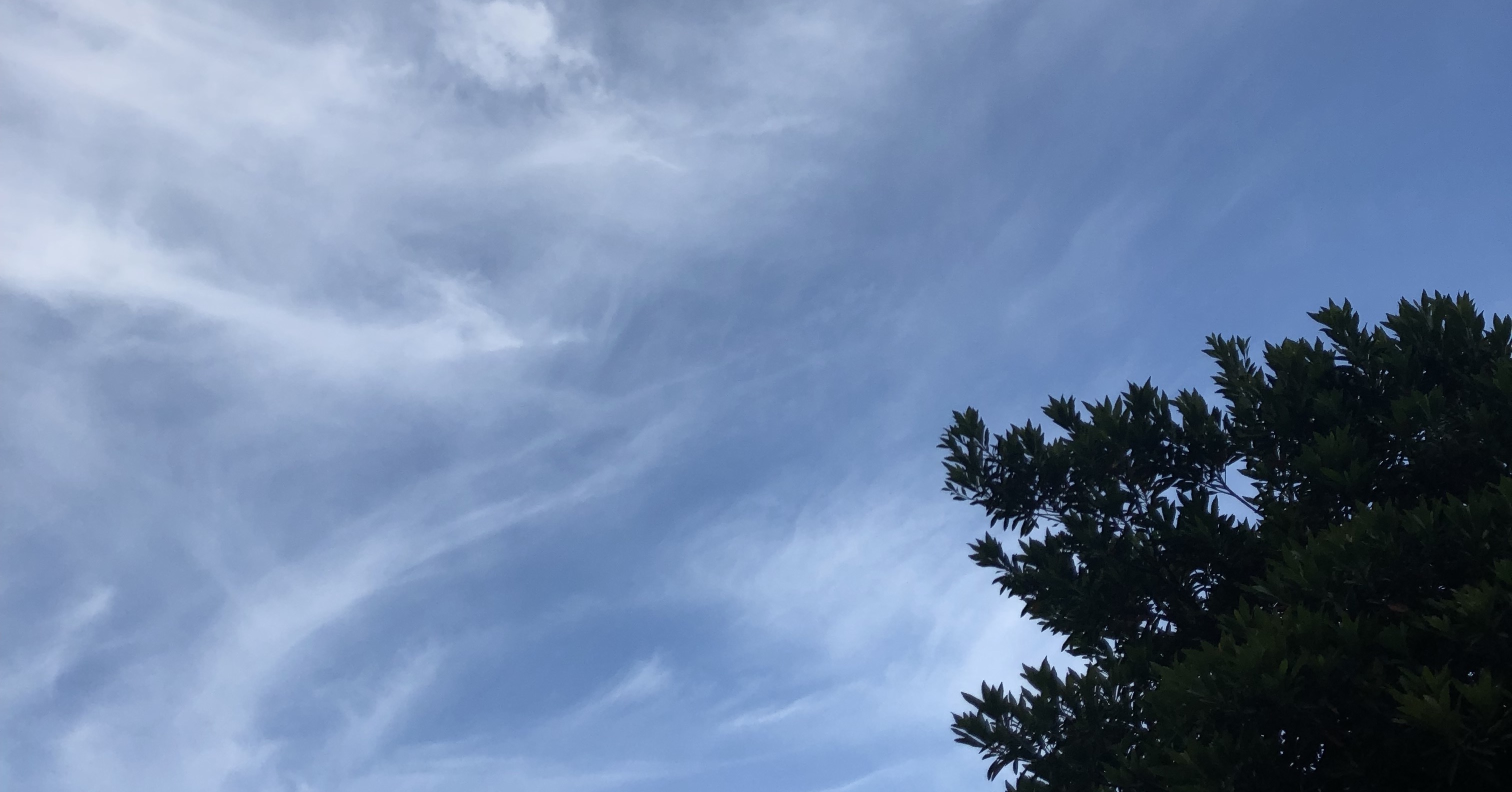 空の写真